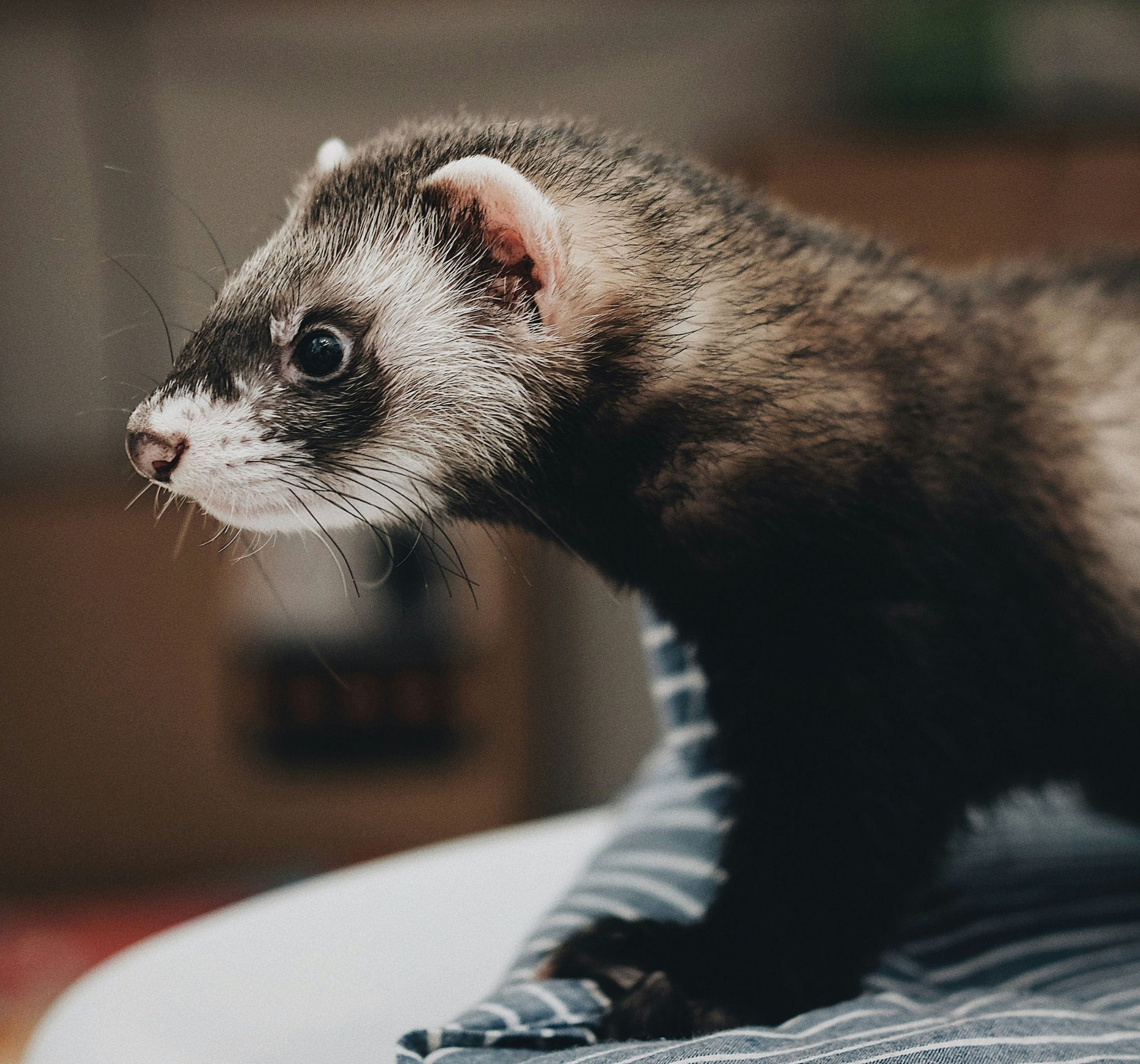 end-of-life-care-service